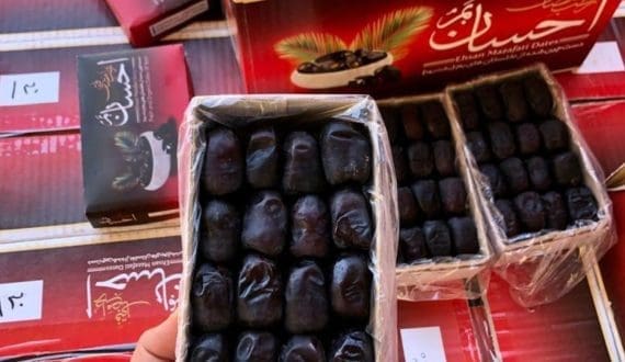 Thumbnail for High demand for Iranian Mazafati dates in India amid price fluctuations