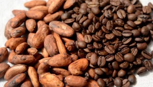 Togo sets 2026/27 coffee, cocoa producer prices
