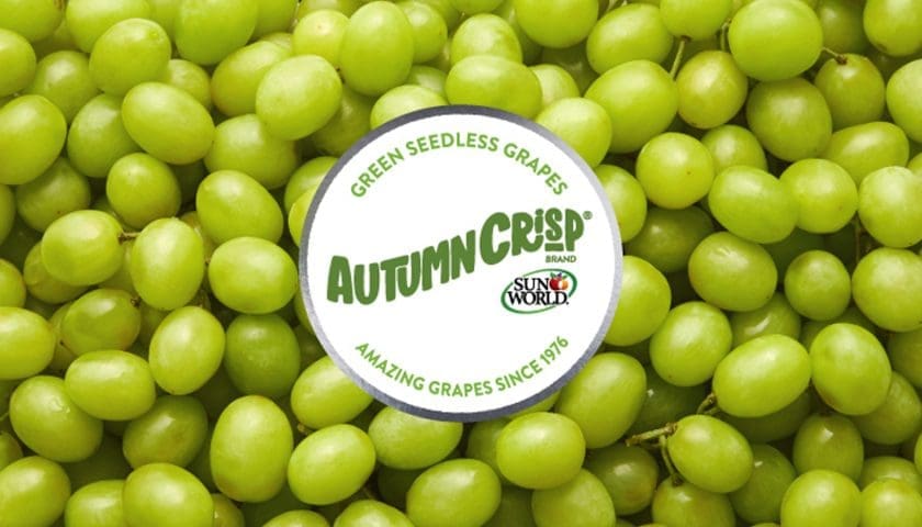 Thumbnail for Sun World expands AUTUMNCRISP network with five new Italian marketers