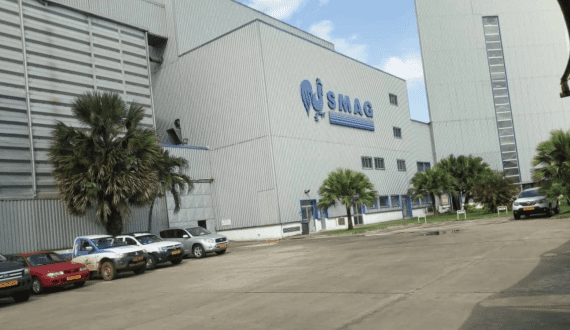 Thumbnail for Ivorian group Avos acquires chicks, egg producer SMAG from French-owned Somdia