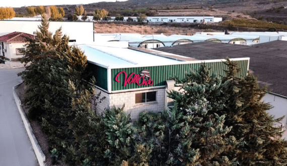 Thumbnail for Spain’s Encarna acquires Setas Vallondo as it expands beyond premium beef