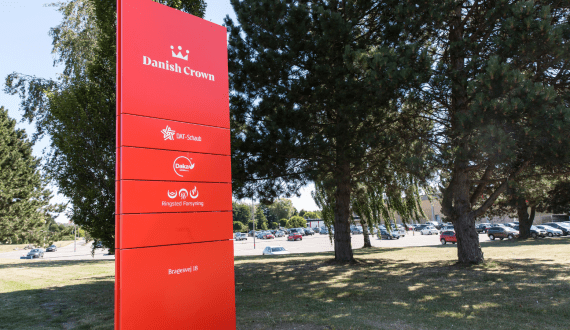 Thumbnail for Danish Crown to shut down China facility as profitability challenges persist