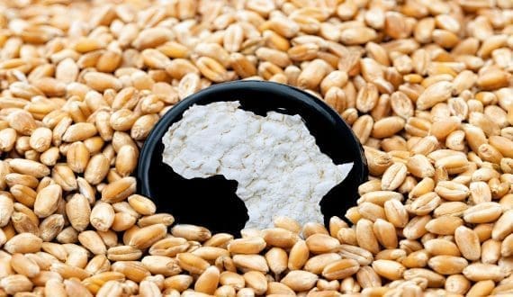 Thumbnail for WFP warns of impending starvation as aid cuts endanger millions in West Africa