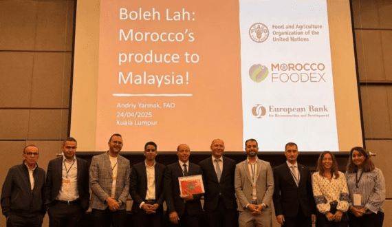 Thumbnail for Malaysian buyers seal first Moroccan fruit deals at ‘Boleh La’ trade meeting