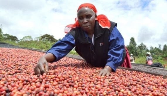 Thumbnail for Cocoa prices to hike as President Donald Trump announces 10% tariffs on all USA imports
