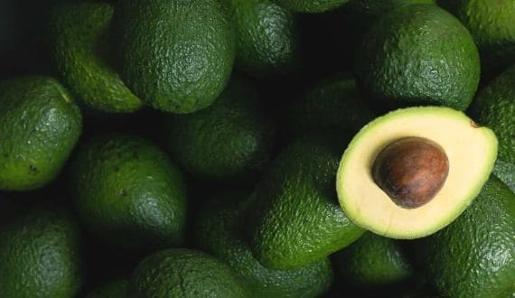 Thumbnail for Fertiliser boosts Tanzania’s avocado output and export volumes