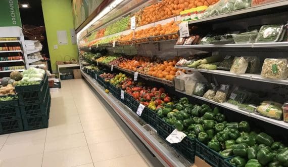 Thumbnail for Seeds Technologies expands operations with new Spanish subsidiary