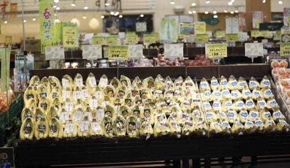 Thumbnail for Japanese shoppers value freshness over local labels in fruit purchases, survey shows