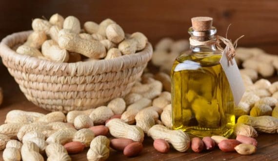 Thumbnail for Kenya lifts import levy on nuts and oil crops for EPZ, SEZ enterprises