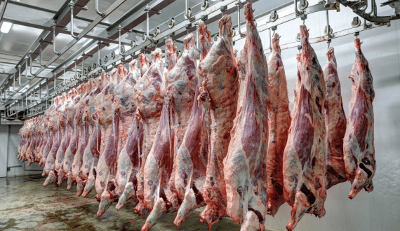 Thumbnail for Nigeria announces plan to launch US$2.5B meat processing plan with Chi Farms, global partners