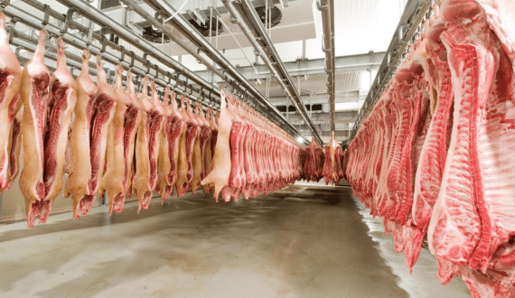 Thumbnail for EU pork trade holds steady – ISN