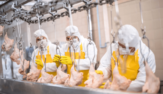 Thumbnail for Russia’s Rostov region ships 100 tonnes of poultry to four countries