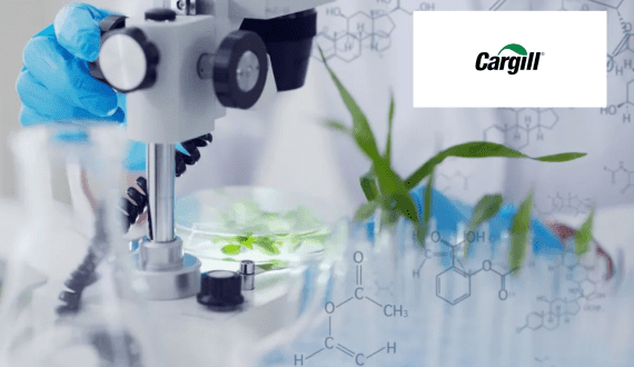 Thumbnail for Cargill wins five Edison Awards for food and agriculture innovations