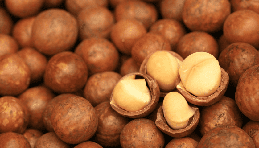 Thumbnail for AFA warns public against forged macadamia export letter