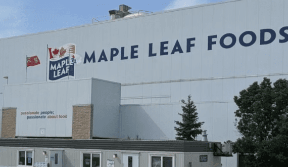 Thumbnail for Maple Leaf reports US$1.24B in sales for Q1 2025