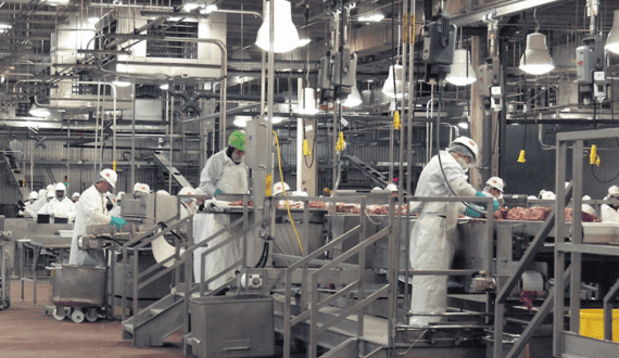 Thumbnail for Beyond Meat rolls out new plant-based chicken pieces