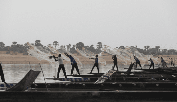 Thumbnail for West African coastal communities face shrinking fish stocks, eonomic strain, report shows