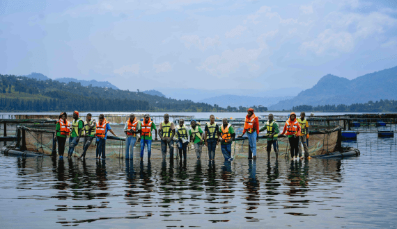 Thumbnail for Rwanda’s Kivu Choice rolls out large-scale fish cages on Lake Kivu