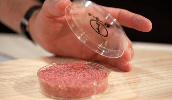 Thumbnail for Mosa Meat to seek approval in UK for use of cultivated beef fat