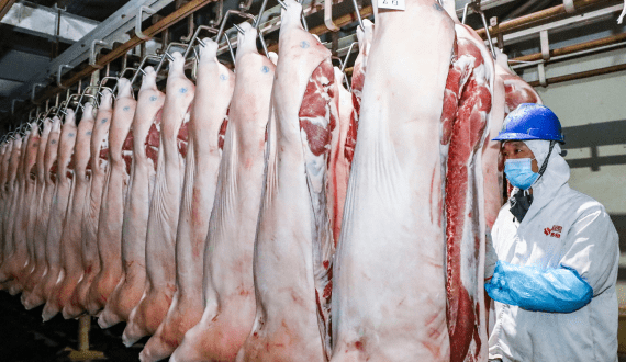 Thumbnail for US pork industry launches new campaign as domestic consumption stalls