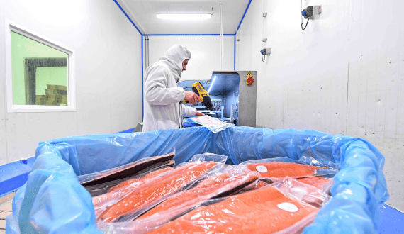 Thumbnail for Joyvio Group to offload salmon subsidiary Australis to Internal Unit