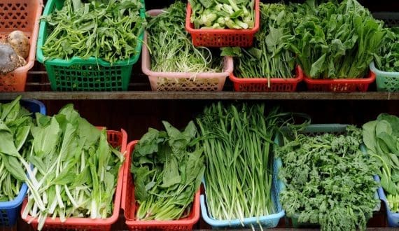 Thumbnail for Kenya’s fresh vegetable exports drop by 54.7% as EU tightens safety rules
