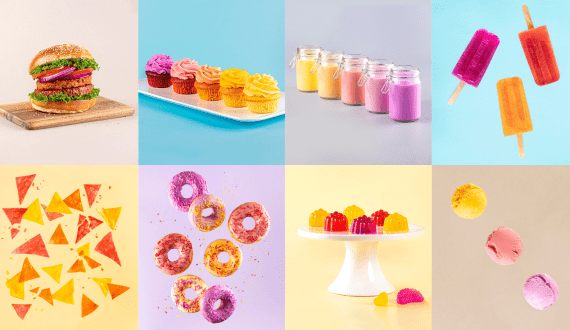 Thumbnail for Phytolon, Ginkgo Bioworks collaborate to develop natural food colors