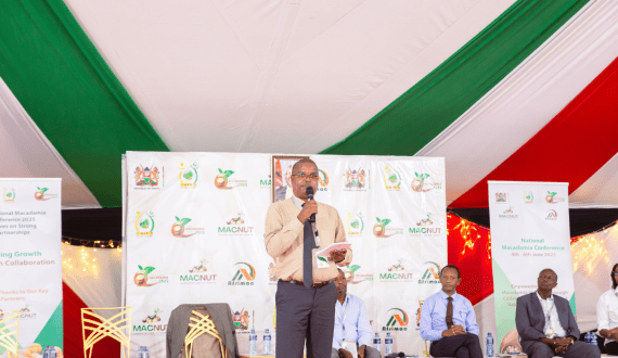 Thumbnail for Kenyan macadamia sector rallies stakeholders to strengthen local consumption and processing