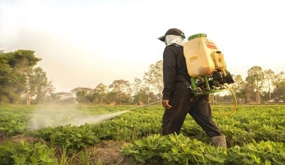 Thumbnail for Kenya withdraws 77 pesticide products over safety risks