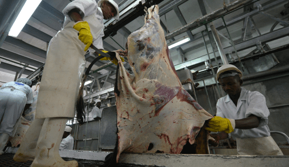 Thumbnail for Tanzania’s meat export volumes rise by 5.75%