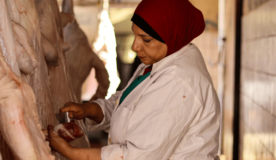 Thumbnail for Egypt takes steps to increase red meat supply, maintain prices
