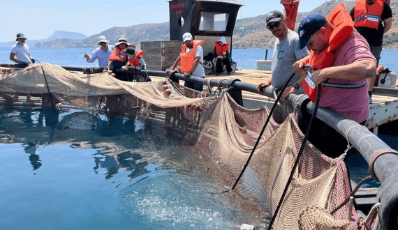 Thumbnail for FAO launches new aquaculture centre in Crete