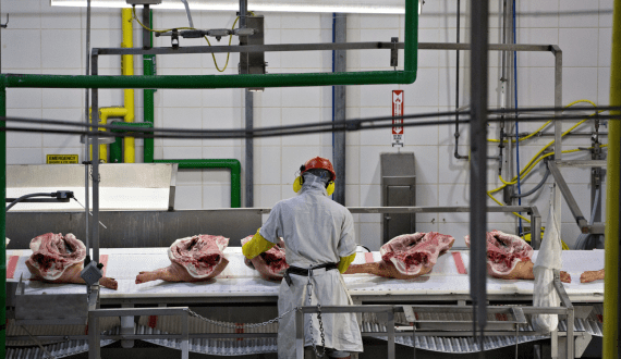 Thumbnail for EU increases pork exports