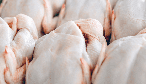 Thumbnail for Iraq, South Korea lift their bans on Brazilian chicken exports