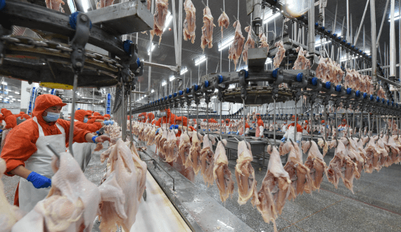 Thumbnail for Scandi Standard reports US$336M in sales for Q2 2025