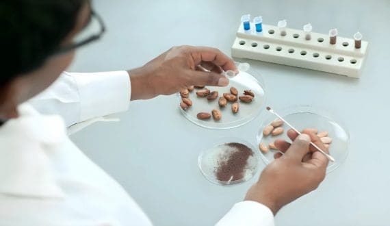 Thumbnail for Barry Callebaut, Zurich University join forces to explore lab-grown cocoa solutions