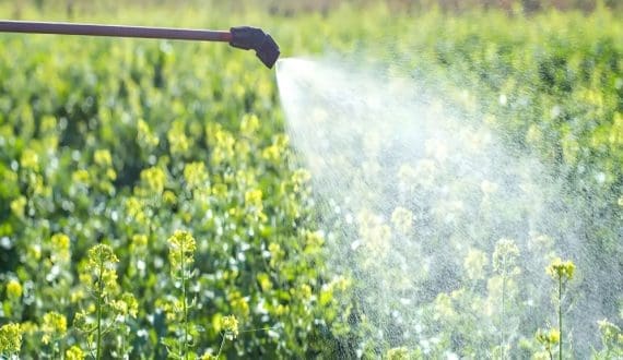 Thumbnail for Denmark bans 23 PFAS-linked pesticides over groundwater concerns