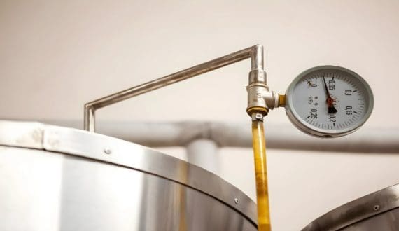 Thumbnail for European Commission pledges US$409M to boost fermentation for sustainable foods