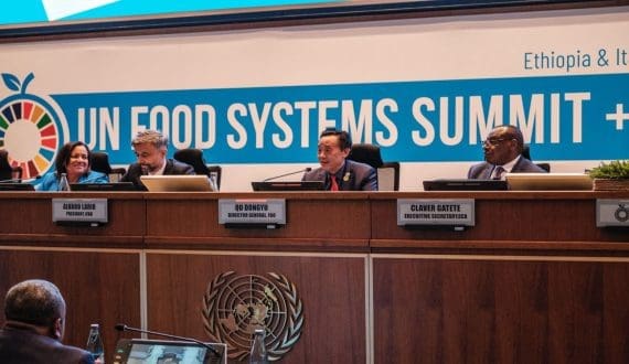 Thumbnail for FAO’s SOFI 2025 highlights uneven nutrition gains, cites inflation as key barrier