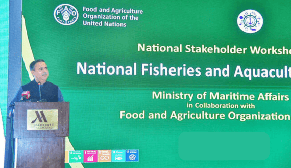 Thumbnail for Pakistan launches 10-year fisheries policy to harness aquatic potential, boost blue economy