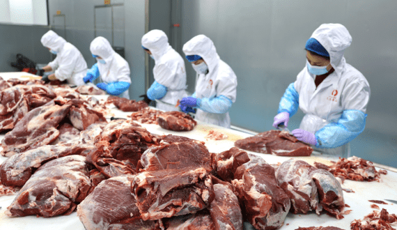 Thumbnail for U.S. to move forward with tariff hike on Brazilian beef