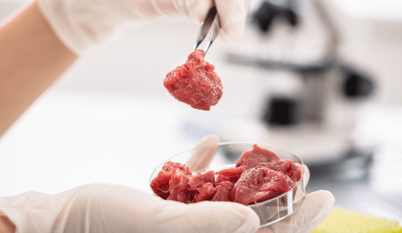 Thumbnail for Younger consumers are showing more willingness to eat cultivated meat – IPSOS