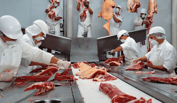 Thumbnail for Global food prices rising in June as meat hits record high