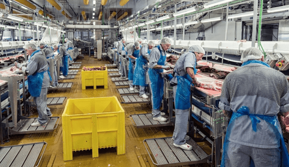 Thumbnail for Danish Crown finalises exit from Chinese meat processing operations