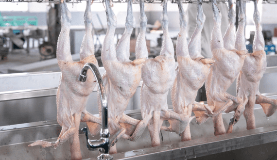 Thumbnail for Danish Crown finalises exit from Chinese meat processing operations