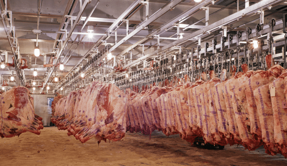 Thumbnail for Meat prices soar in Rwanda as vendors struggle to keep up with costs