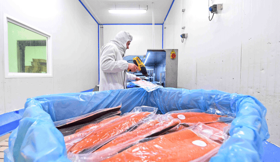 Thumbnail for Cermaq to acquire three salmon plants from rival Grieg Seafood for US$989M