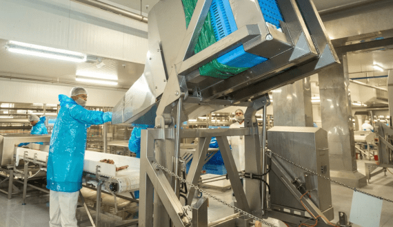 Thumbnail for Novella, Metaphor Foods partner to produce natural meat preservatives