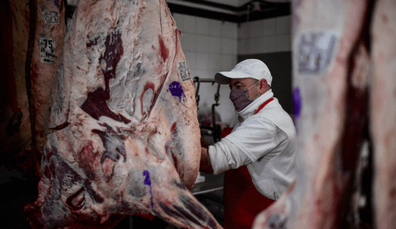 Thumbnail for US meat exports poised for continued growth under new US-Japan agreement