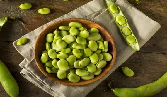 Thumbnail for Burcon launches FavaPro™, its 90% high-purity fava protein isolate